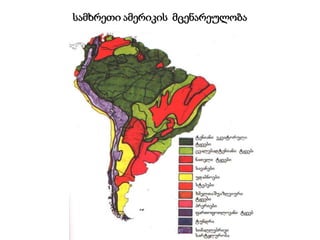 სამხრეთი ამერიკის მცენარეულობა
 
