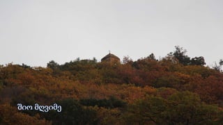 პროექტის შესახებ