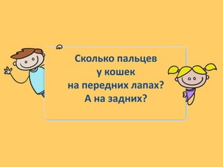 Сколько пальцев
у кошек
на передних лапах?
А на задних?
 