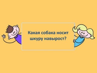 Какая собака носит
шкуру навырост?
 