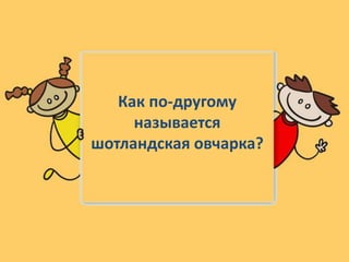 Как по-другому
называется
шотландская овчарка?
 