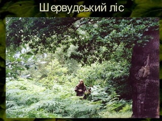 Шервудський лісШервудський ліс
 