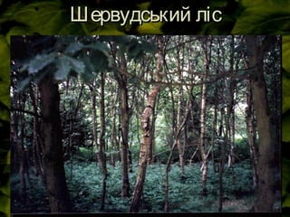 Шервудський лісШервудський ліс
 