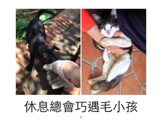 休息總會巧遇⽑毛⼩小孩
8
 