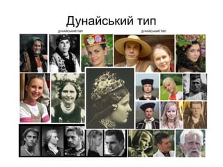 Дунайський тип
 