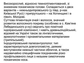 Високорослий, відносно темнопігментований, зі
зниженим покажчиком голови. Складається з двох
варіантів – нижньодніпровського (у півд. р-нах
Київської Русі) і припрутського – на Хотинщині і в
північ. Молдові.
Суттєва пігментація очей і волосся, значний
розвиток волосяного покриву (особливо в с. Кам’яне
Лебединського р-ну) свідчать про помітний
індоіранський компонент, і навіть древньоіндійський,
відомий на Україні також за лінгвістичними,
археологічними і орнаметальними матеріалами
(трипільський).
Індодніпровський палеоантрополог. тип
характеризується довгоголовістю, деяким
виступанням нижньої частини обличчя, а також
надзвичайно специфічним поєднанням різко
профільованого лиця з низьким симотичним
покажчиком носа.
 