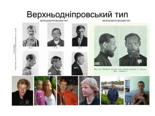 Верхньодніпровський тип
 