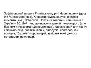 Зафіксований лише у Рипкінському р-ні Чернігівщини (десь
0,5 % всіх українців). Характеризується дуже світлою
пігментацією (60%) очей. Показник голови – найнижчий в
Україні – 80. Цей тип, що включив давній палеоевроп. (але
без помітних кроманьйонських рис), характерний для північ,
і північно-схід. поляків, північ, білорусів, новгородців і
поморів, “будаків” мордви-єрзі, західних комі, деяких
естонських популяцій.
 