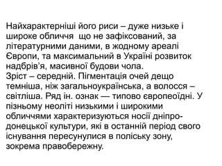 Найхарактерніші його риси – дуже низьке і
широке обличчя що не зафіксований, за
літературними даними, в жодному ареалі
Європи, та максимальний в Україні розвиток
надбрів’я, масивної будови чола.
Зріст – середній. Пігментація очей дещо
темніша, ніж загальноукраїнська, а волосся –
світліша. Ряд ін. ознак — типово європеоїдні. У
пізньому неоліті низькими і широкими
обличчями характеризуються носії дніпро-
донецької культури, які в останній період свого
існування пересунулися в поліську зону,
зокрема правобережну.
 