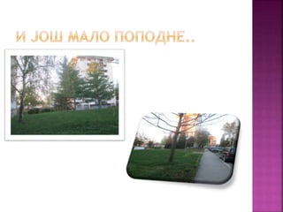 јесењи дани у дудовима