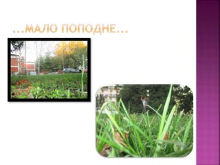 јесењи дани у дудовима