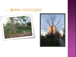 јесењи дани у дудовима