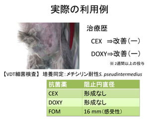 ίs
CEX ?ƣ`
DOXY?ƣ`
VDTʖˡ BͬS. pseudintermedius
a ֱֹ
CEX γɤʤ
DOXY γɤʤ
FOM 16 mmԣ
 2LgϤͶ
gH
 