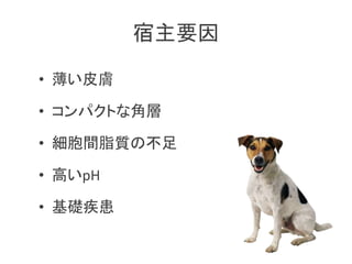 Ҫ
? Ƥw
? ѥȤʽǌ
? g֬|β
? ߤpH
? A
 