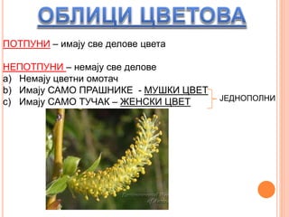 ПОТПУНИ – имају све делове цвета
НЕПОТПУНИ – немају све делове
a) Немају цветни омотач
b) Имају САМО ПРАШНИКЕ - МУШКИ ЦВЕТ
c) Имају САМО ТУЧАК – ЖЕНСКИ ЦВЕТ ЈЕДНОПОЛНИ
 
