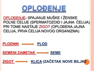 OPLOĐENJE- SPAJANJE MUŠKE I ŽENSKE
POLNE ĆELIJE (SPERMATOZOID I JAJNA ĆELIJA)
PRI TOME NASTAJE ZIGOT (OPLOĐENA JAJNA
ĆELIJA, PRVA ĆELIJA NOVOG ORGANIZMA)
PLODNIK PLOD
SEMENI ZAMETAK SEME
ZIGOT KLICA (ZAČETAK NOVE BILJKE
 