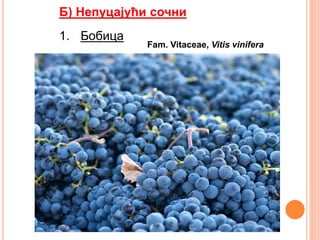 Fam. Vitaceae, Vitis vinifera
Б) Непуцајући сочни
1. Бобица
 