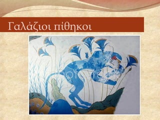 Γαλάζιοι πίθηκοι
 