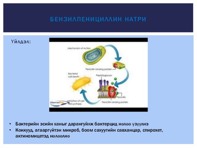 Зайлшгүй шаардлагатай антибиотик