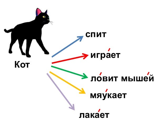 Схема слова кот