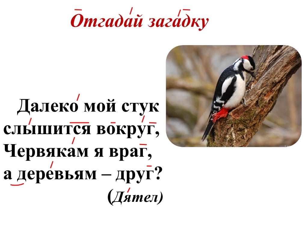 автоматизация звуков т д
