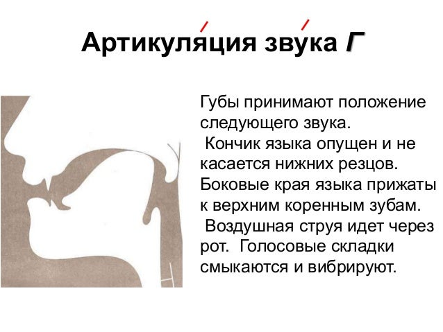 Профили Артикуляции Звуков