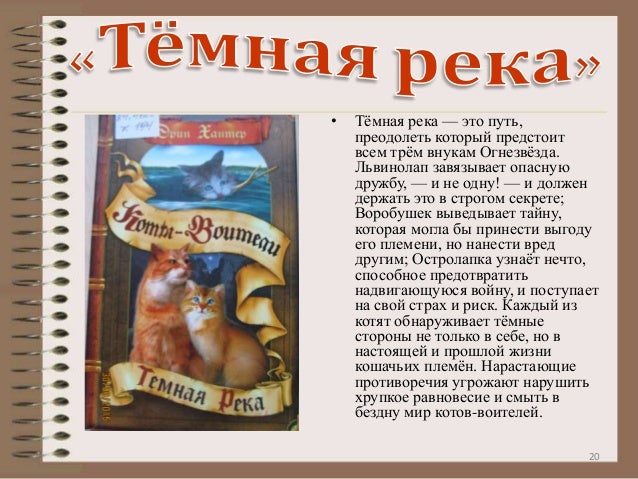 Коты воители машина