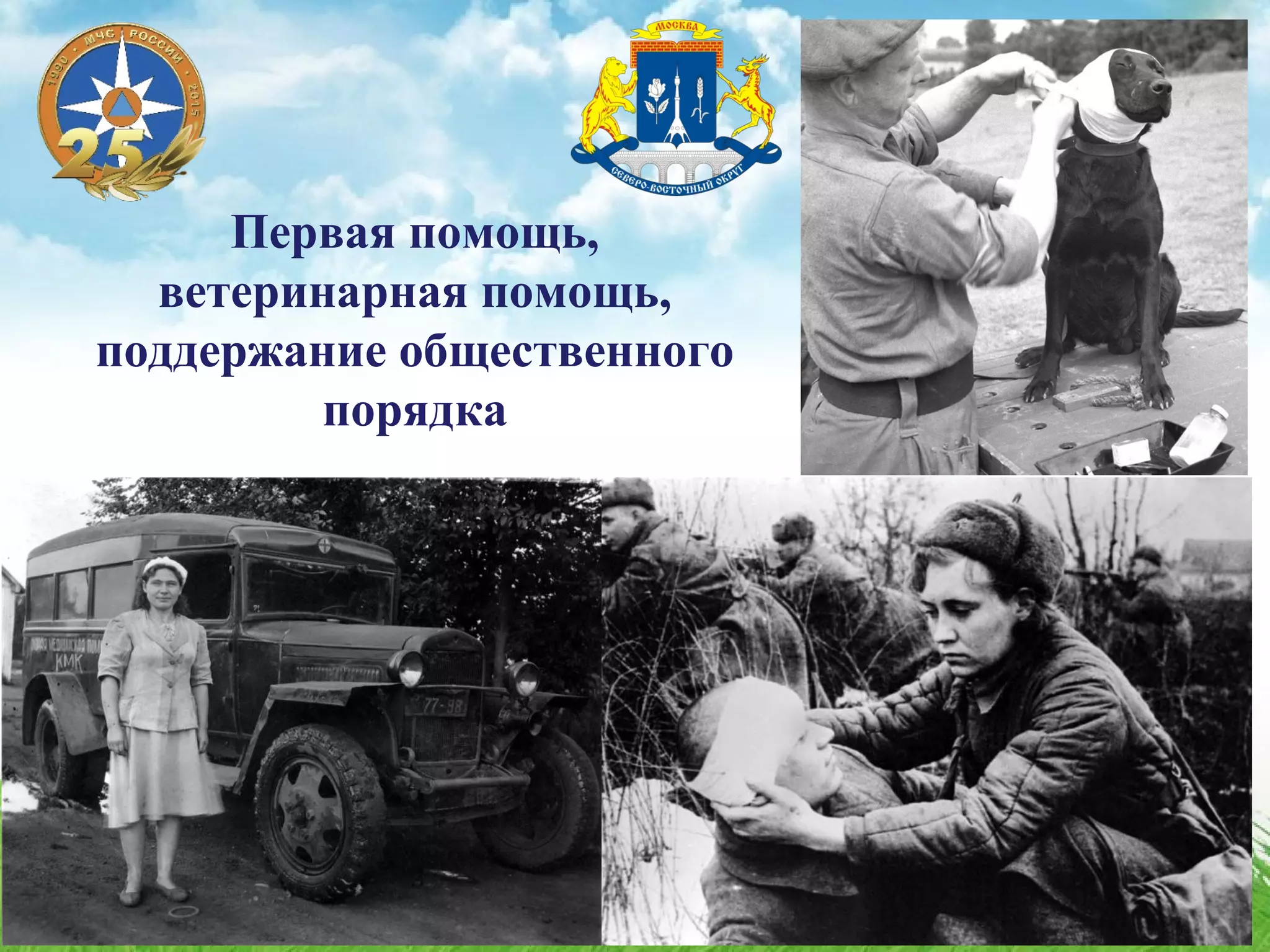 Первая помощь,
ветеринарная помощь,
поддержание общественного
порядка
 