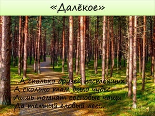 «Далёкое»
……А сколько друзей настоящих,
А сколько там было чудес,
Лишь помнят сосновые чащи
Да темный еловый лес!..
 