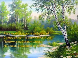Русь моя, люблю твои березы!
С первых лет я с ними жил и рос.
Потому и набегают слезы
На глаза, отвыкшие от слёз...
 