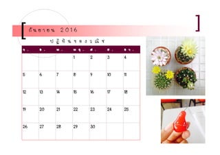จ . อ . พ . พ ฤ . ศ . ส . อ า .
1 2 3 4
5 6 7 8 9 10 11
12 13 14 15 16 17 18
19 20 21 22 23 24 25
26 27 28 29 30
กั น ย า ย น 2 0 1 6
ป ฏิ ทิ น ข อ ง ว ณิ ช
 