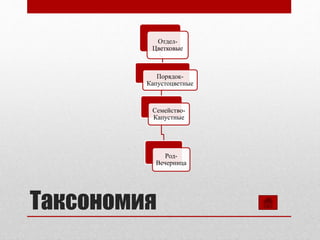 Таксономия
Отдел-
Цветковые
Порядок-
Капустоцветные
Семейство-
Капустные
Род-
Вечерница
 
