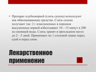 Лекарственное
применение
• Препарат клубнекорней (слизь салепа) используют
как обволакивающее средство. Слизь салепа
получают так: 2 г измельченных в порошок
высушенных корней взбалтывают 10—15 минут в 200
мл кипящей воды. Слизь хранят в прохладном месте
до 2—3 дней. Принимают по 1 столовой ложке перед
едой и перед сном.
 