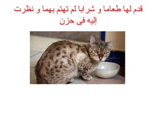 ‫نظرت‬ ‫و‬ ‫بهما‬ ‫تهتم‬ ‫لم‬ ‫شرابا‬ ‫و‬ ‫طعاما‬ ‫لها‬ ‫قدم‬
‫حزن‬ ‫فى‬ ‫إليه‬
 