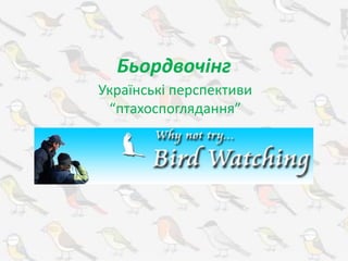Бьордвочінг
Українські перспективи
“птахоспоглядання”
 