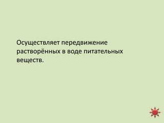  Ткани живых организмов