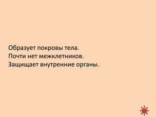  Ткани живых организмов