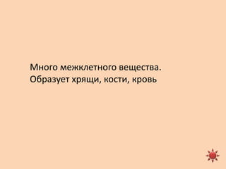 Много межклетного вещества.
Образует хрящи, кости, кровь
 