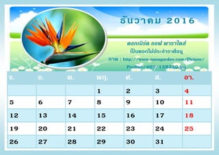 จ. อ. พ. พฤ. ศ. ส. อา.
1 2 3 4
5 6 7 8 9 10 11
12 13 14 15 16 17 18
19 20 21 22 23 24 25
26 27 28 29 30 31
ธันวาคม 2016
ดอกเบิร์ด ออฟ พาราไดส์
เป็ นดอกไม้ประจาราศีธนู
ภาพ : http://www.nanagarden.com/Picture/
Product/400/158330.jpg
 