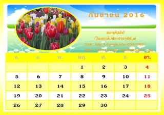 จ. อ. พ. พฤ. ศ. ส. อา.
1 2 3 4
5 6 7 8 9 10 11
12 13 14 15 16 17 18
19 20 21 22 23 24 25
26 27 28 29 30
กันยายน 2016
ดอกทิวลิป
เป็ นดอกไม้ประจาราศีกันย์
ภาพ : http://f.ptcdn.info/055/002/
000/1360410490-IMG2436JPG-o.jpg
 