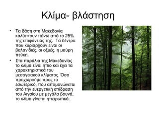 Κλίμα- βλάστηση
• Τα δάση στη Μακεδονία
καλύπτουν πάνω από το 25%
της επιφάνειάς της. Τα δέντρα
που κυριαρχούν είναι οι
βαλανιδιές, οι οξυές, η μαύρη
πεύκη.
• Στα παράλια της Μακεδονίας
το κλίμα είναι ήπιο και έχει τα
χαρακτηριστικά του
μεσογειακού κλίματος. Όσο
προχωρούμε προς το
εσωτερικό, που απομονώνεται
από την ευεργετική επίδραση
του Αιγαίου με μεγάλα βουνά,
το κλίμα γίνεται ηπειρωτικό.
 