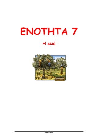 ΣΕΛΙΔΑ 65
ΕΝΟΤΗΤΑ 7
Η ελιά
 