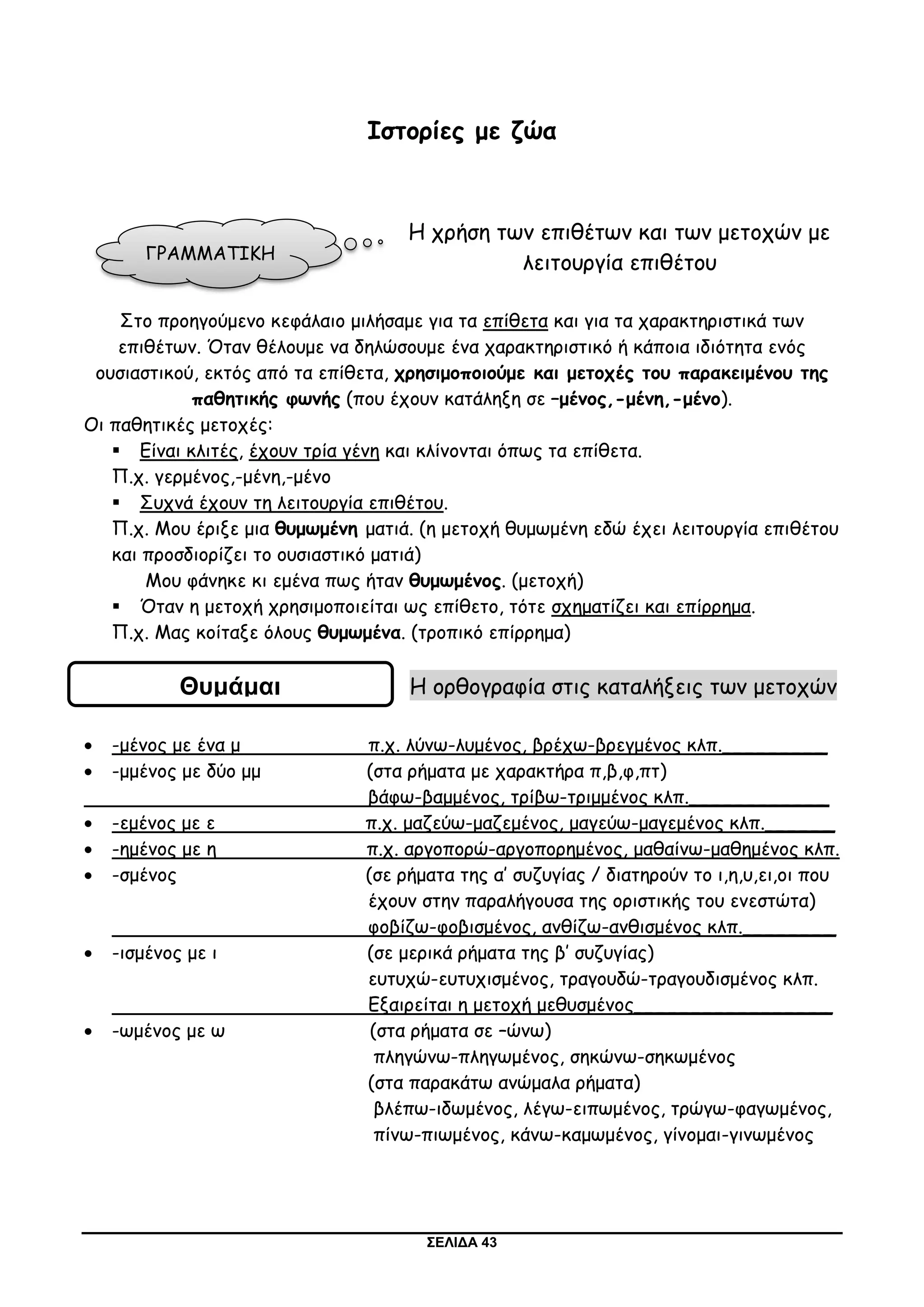 ΣΕΛΙΔΑ 43
Ιστορίες με ζώα
Η χρήση των επιθέτων και των μετοχών με
λειτουργία επιθέτου
Στο προηγούμενο κεφάλαιο μιλήσαμε για τα επίθετα και για τα χαρακτηριστικά των
επιθέτων. Όταν θέλουμε να δηλώσουμε ένα χαρακτηριστικό ή κάποια ιδιότητα ενός
ουσιαστικού, εκτός από τα επίθετα, χρησιμοποιούμε και μετοχές του παρακειμένου της
παθητικής φωνής (που έχουν κατάληξη σε –μένος,-μένη,-μένο).
Οι παθητικές μετοχές:
 Είναι κλιτές, έχουν τρία γένη και κλίνονται όπως τα επίθετα.
Π.χ. γερμένος,-μένη,-μένο
 Συχνά έχουν τη λειτουργία επιθέτου.
Π.χ. Μου έριξε μια θυμωμένη ματιά. (η μετοχή θυμωμένη εδώ έχει λειτουργία επιθέτου
και προσδιορίζει το ουσιαστικό ματιά)
Μου φάνηκε κι εμένα πως ήταν θυμωμένος. (μετοχή)
 Όταν η μετοχή χρησιμοποιείται ως επίθετο, τότε σχηματίζει και επίρρημα.
Π.χ. Μας κοίταξε όλους θυμωμένα. (τροπικό επίρρημα)
Η ορθογραφία στις καταλήξεις των μετοχών
 -μένος με ένα μ π.χ. λύνω-λυμένος, βρέχω-βρεγμένος κλπ._________
 -μμένος με δύο μμ (στα ρήματα με χαρακτήρα π,β,φ,πτ)
βάφω-βαμμένος, τρίβω-τριμμένος κλπ.____________
 -εμένος με ε π.χ. μαζεύω-μαζεμένος, μαγεύω-μαγεμένος κλπ.______
 -ημένος με η π.χ. αργοπορώ-αργοπορημένος, μαθαίνω-μαθημένος κλπ.
 -σμένος (σε ρήματα της α’ συζυγίας / διατηρούν το ι,η,υ,ει,οι που
έχουν στην παραλήγουσα της οριστικής του ενεστώτα)
φοβίζω-φοβισμένος, ανθίζω-ανθισμένος κλπ.________
 -ισμένος με ι (σε μερικά ρήματα της β’ συζυγίας)
ευτυχώ-ευτυχισμένος, τραγουδώ-τραγουδισμένος κλπ.
Εξαιρείται η μετοχή μεθυσμένος_________________
 -ωμένος με ω (στα ρήματα σε –ώνω)
πληγώνω-πληγωμένος, σηκώνω-σηκωμένος
(στα παρακάτω ανώμαλα ρήματα)
βλέπω-ιδωμένος, λέγω-ειπωμένος, τρώγω-φαγωμένος,
πίνω-πιωμένος, κάνω-καμωμένος, γίνομαι-γινωμένος
ΓΡΑΜΜΑΤΙΚΗ
Θυμάμαι
 
