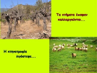 Τα κτήματα έπαψανΤα κτήματα έπαψαν
καλλιεργούνται...καλλιεργούνται...
Η κτηνοτροφίαΗ κτηνοτροφία
λιγόστεψε...λιγόστεψε...
 