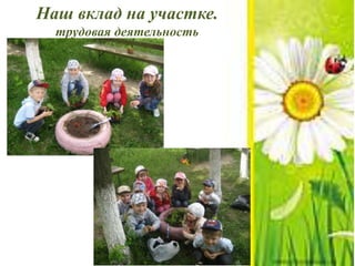 Наш вклад на участке.
трудовая деятельность
 