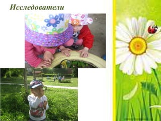 Исследователи
 