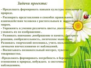 Задачи проекта:
- Продолжать формировать навыки культуры поведения в
природе.
- Расширять представления о способах правильного
взаимодействия человека с растительным и животным
миром.
- Упражнять в умении различать цветы ,насекомых,
узнавать их по изображению .
- Развивать внимание ,воображение и память; быстроту
реакции, сообразительность, логическое мышление.
Развивать творческий потенциал, учить пользоваться
личными впечатлениями от наблюдений.
- Воспитывать познавательный интерес, чувство
товарищества.
-Продолжать формировать потребность в бережном
отношении к природе, побуждать к системным
наблюдениям.
 