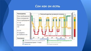 Сон как он есть
 