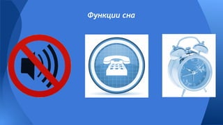 Функции сна
 