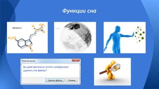 Функции сна
 